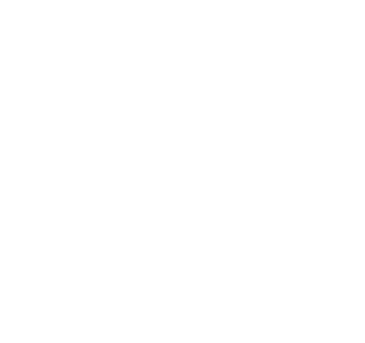 Scientific Trading Solutions